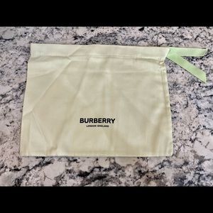 Burberry New light Green Small Dust Bag